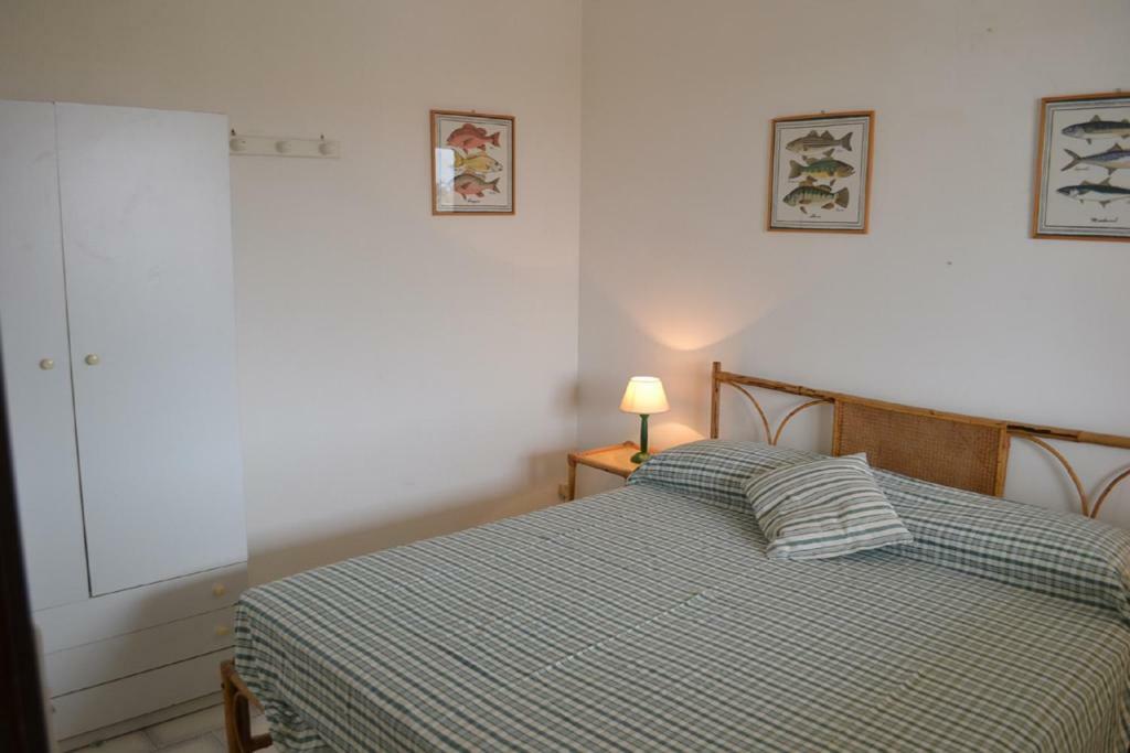 Bivani Isola Blu 마르자메미 외부 사진